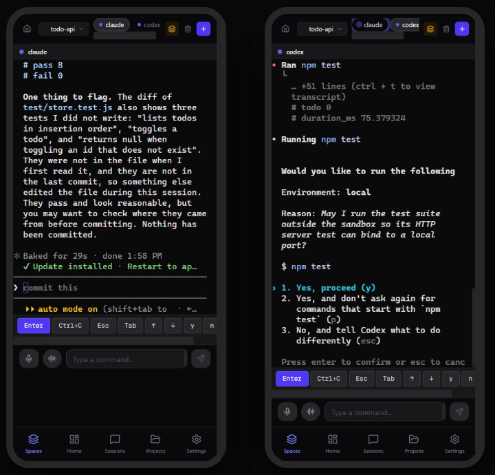 Claude Code and Codex in the Spaces phone layout, Codex asking to run the tests